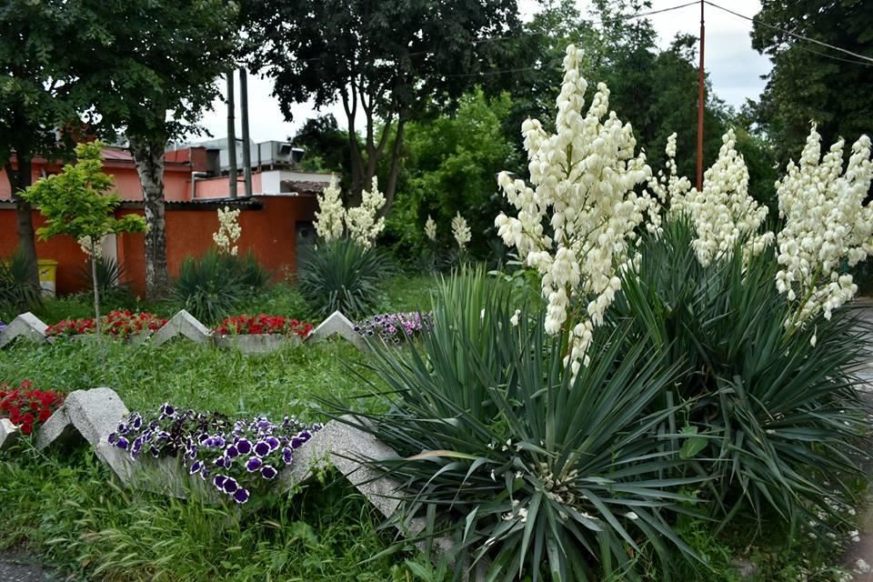Мотели Complex 9th Kilometer Plovdiv Пловдив-11